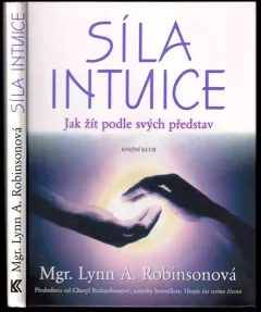 Síla intuice