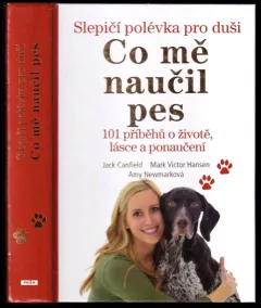 Slepičí polévka pro duši