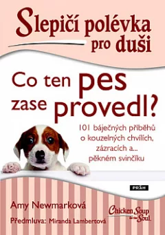 Slepičí polévka pro duši: Co ten pes zase provedl?