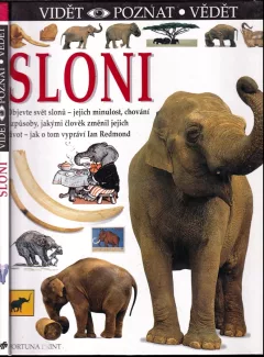 Sloni