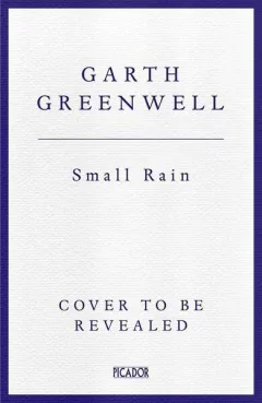 Small Rain