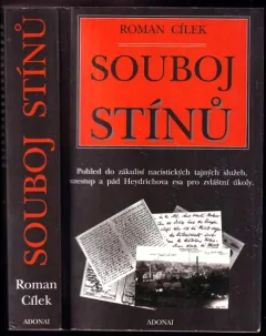Souboj stínů