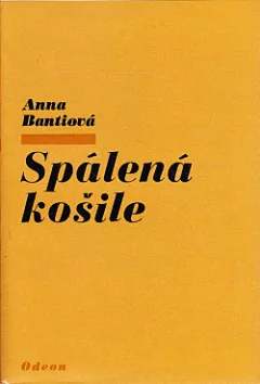 Spálená košile