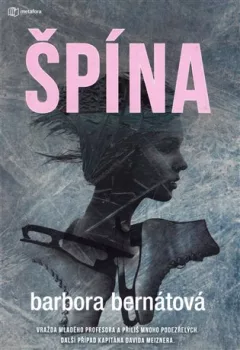 Špína