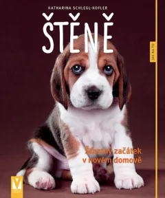 Štěně - Jak na to