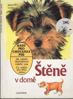 Štěně v domě