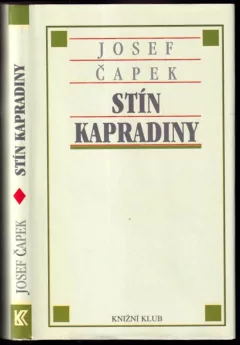 Stín kapradiny