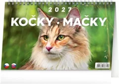 Stolní kalendář Kočky – Mačky CZ/SK 2027