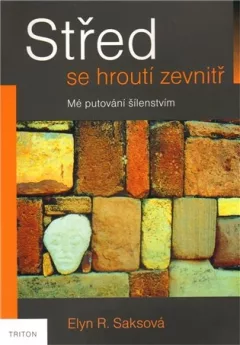 Střed se hroutí zevnitř - Mé putování šílenstvím