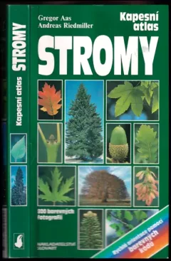 Stromy