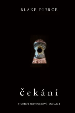 Čekání