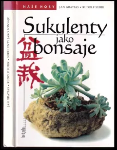 Sukulenty jako bonsaje