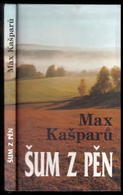 Šum z pěn