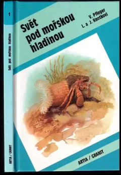 Svět pod mořskou hladinou