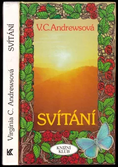 Svítání