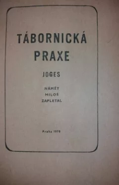 Tábornická praxe