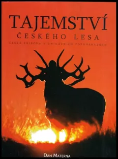 Tajemství českého lesa