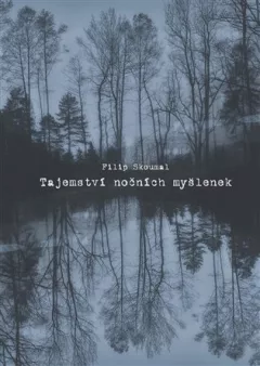Tajemství nočních myšlenek