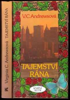 Tajemství rána