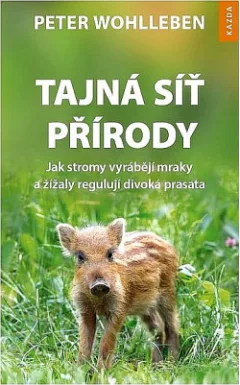 Tajná síť přírody