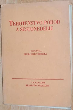 Tehotenstvo, pôrod a šestonedelie