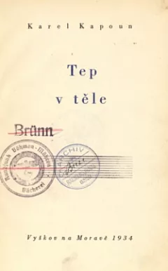 Tep v těle