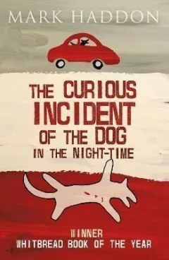 The Curious Incident of the Dog In the Night-time
