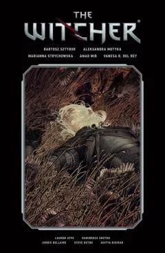 The Witcher Volume 2
