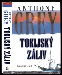 Tokijský záliv - román z Japonska