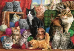 Trefl Puzzle Kočičí setkání / 1000 dílků
