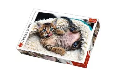 Trefl Puzzle Veselé kotě / 1000 dílků