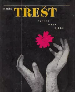 Třešť: včera, dnes, zítra
