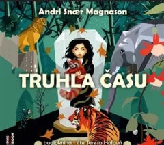 Truhla času