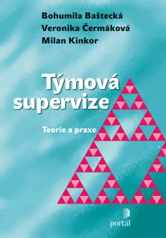 Týmová supervize