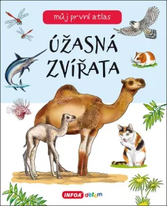 Úžasná zvířata
