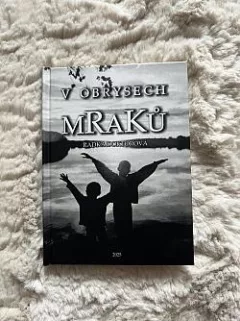 V obrysech mraků