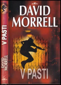V pasti