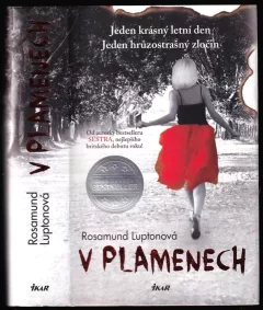 V plamenech