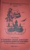 V řadách České družiny a Československé brigády