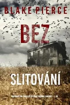 Bez slitování