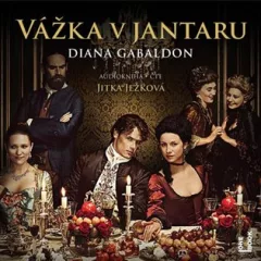 Vážka v jantaru