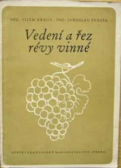 Vedení a řez révy vinné