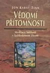 Vědomí přítomnosti
