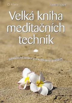 Velká kniha meditačních technik