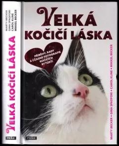 Velká kočičí láska