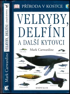 Velryby, delfíni a další kytovci