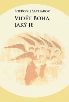 Vidět Boha, jaký je