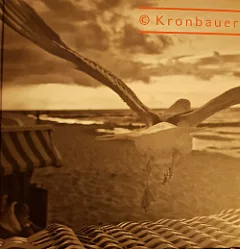 Viktor Kronbauer - Divadelní fotografie