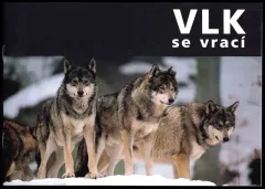 Vlk se vrací