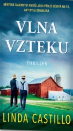 Vlna vzteku
